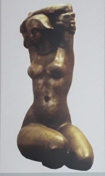 OP017