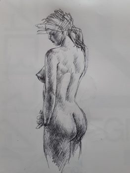 OP046